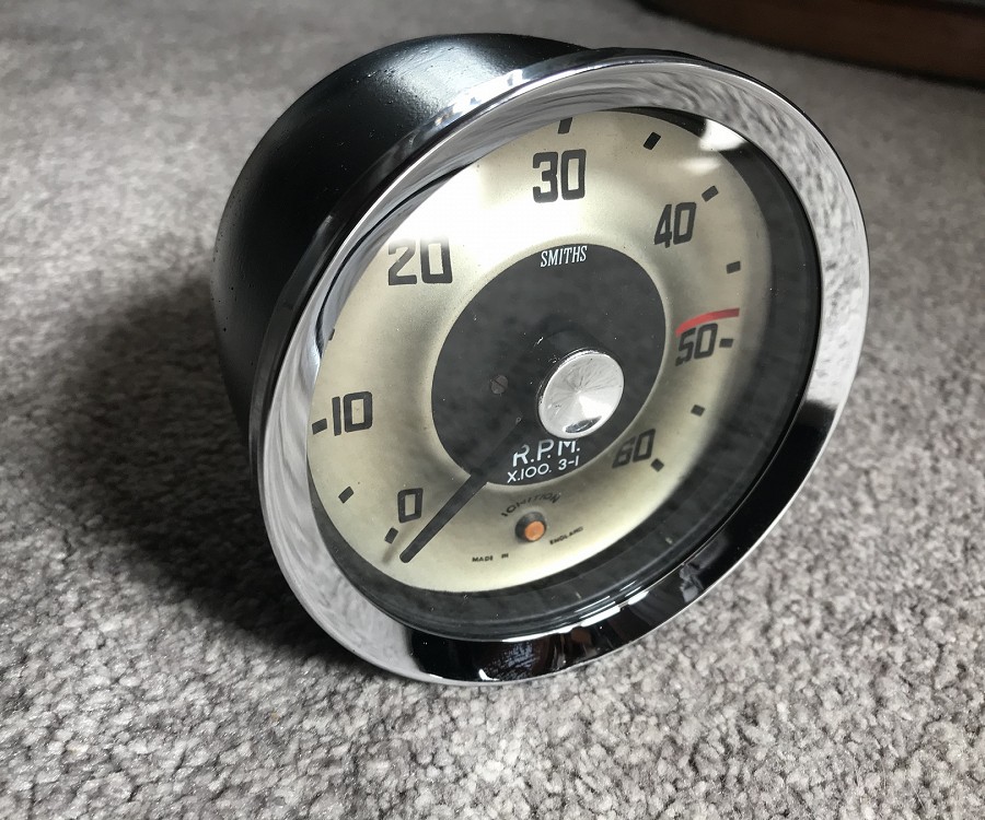 Magnolia classic speedo