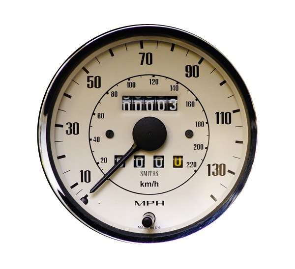 Image of SMITHS CLASSIC MAGNOLIA SPEEDO