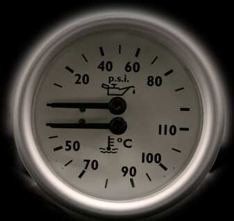 Image of DUAL MAGNOLIA and BLACK DIAL GAUGE